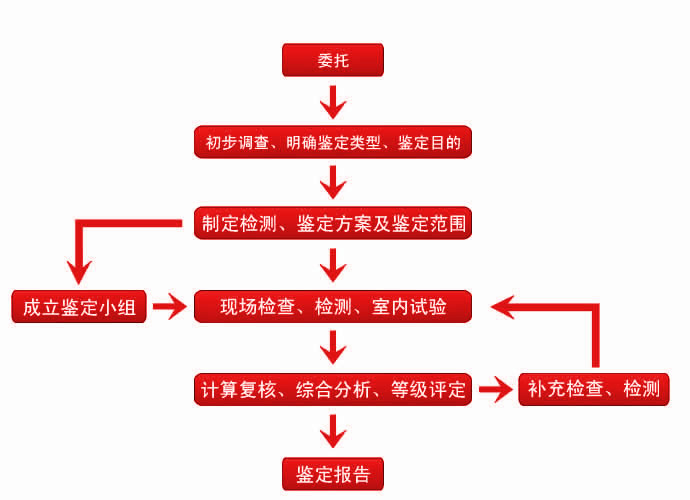 7762459_出現.jpeg